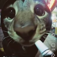 mizzchi3f